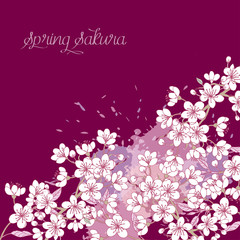 Spring Background with Sakura Blossom Trees