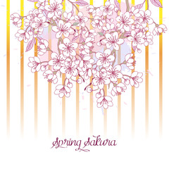 Spring Background with Sakura Blossom Trees