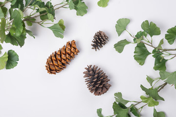 Pine Cones with Branches Flat Lay Top View