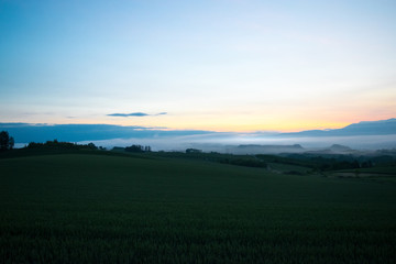 朝霧の丘　夜明け　丘の風景　美瑛　上富良野　富良野
