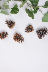 Pine Cones with Branches White Space Flat Lay Top View