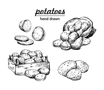 potatoes set. bag of potatoes and box. hand drawn vector illustrations