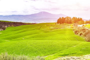 Fototapeta na wymiar Tuscany landscape of spring time 