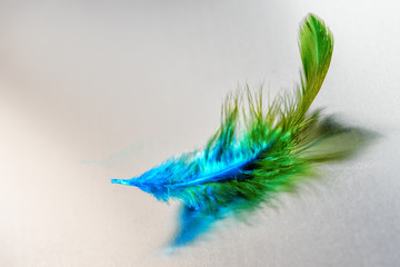 beautiful green feather on a matte metal surface with reflection