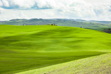 Spring tuscany landscape 