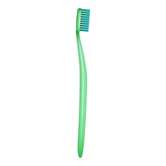 Hygiene toothbrush icon. Realistic illustration of hygiene toothbrush vector icon for web