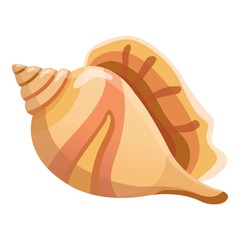 Single shell icon. Cartoon illustration of single shell vector icon for web