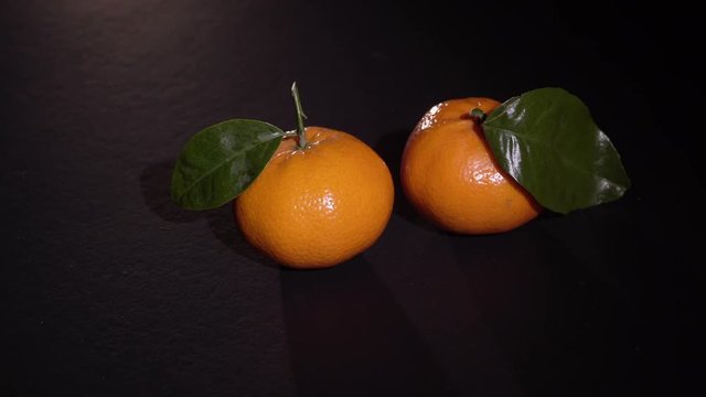 Two citrus mandarin with leafes on black background isolated