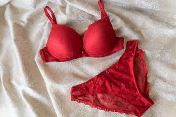 Female sexy red lingerie on a beige-white background. The concept of beauty.