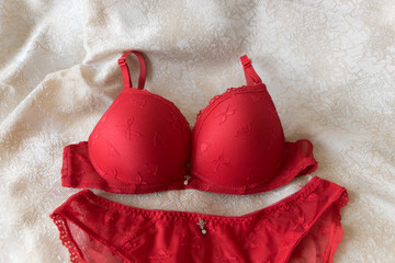 Female sexy red lingerie on a beige-white background. The concept of beauty.