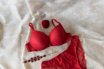 Female sexy red lingerie on a beige-white background. The concept of beauty.