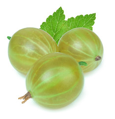 gooseberry with leafes on white background