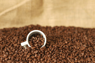 Fototapeta na wymiar Fresh roasted coffee beans 
