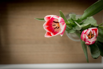 Tulpen auf Holztisch