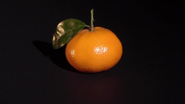 Citrus mandarin with leafes on black background isolated rotates slowmotion