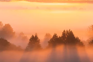 Fotobehang Amazing Sunrise Over Misty Landscape. Scenic View Of Foggy Morning © Grigory Bruev