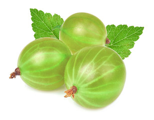 gooseberry isolated on white background