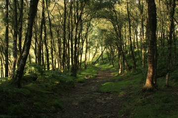 Nidderdale, Pateley Bridge, Yorkshire