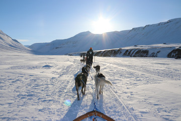 Svalbard