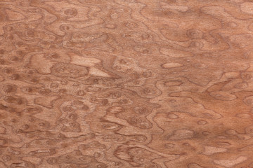 Awesome veneer texture in effective tones.