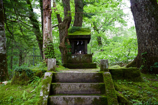 1 915 最適な 祠 画像 ストック写真 ベクター Adobe Stock 1 915 最適な 祠 画像 ストック写真 ベクター Adobe Stock