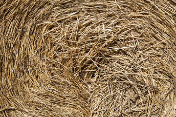 straw