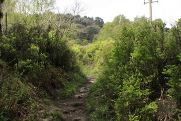 Fototapeta premium Hardcastle Crags, Yorkshire, England
