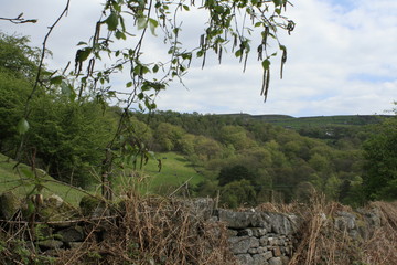 Fototapeta premium Hardcastle Crags, Yorkshire, England