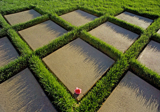 Pavers With Grass Boarder And Single Pink Flower Forms Geometric Pattern 