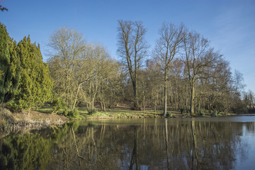 Fototapeta na wymiar trees and sky reflection on deep lake