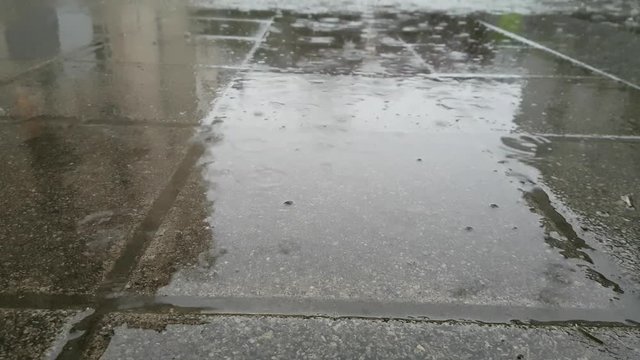 Close up video footage of rain drops falling down water surface of puddle, splashing with ripple during heavy raindrop, wet rainy weather nature background