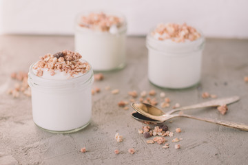 Yoghurt with granola made of oats, raisins, puffed rice, chocolate and dried bananas. Healthy breakfast for family.