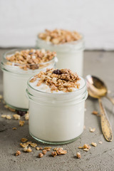 Yoghurt with granola made of oats, raisins, puffed rice, chocolate and dried bananas. Healthy breakfast for family.