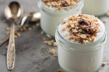 Yoghurt with granola made of oats, raisins, puffed rice, chocolate and dried bananas. Healthy breakfast for family.
