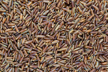 Very Sharp and Clear Background Surface of Red Rice Grains