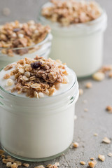 Yoghurt with granola made of oats, raisins, puffed rice, chocolate and dried bananas. Healthy breakfast for family.