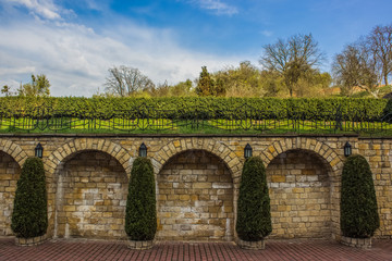 green tree and brick floor