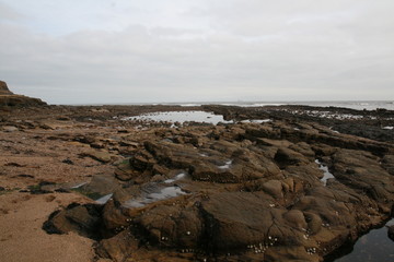 Beach in Cullercoats, Newcastle, Northumberland, UK