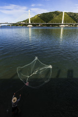 Anita Garibaldi bridge