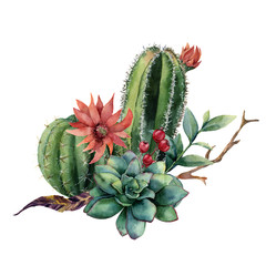 Watercolor cactus bouquet. Hand painted cereus with red flower, green succulent, berries and treebranch with leaves isolated on white background. Illustration for design, print, fabric or background. © yuliya_derbisheva