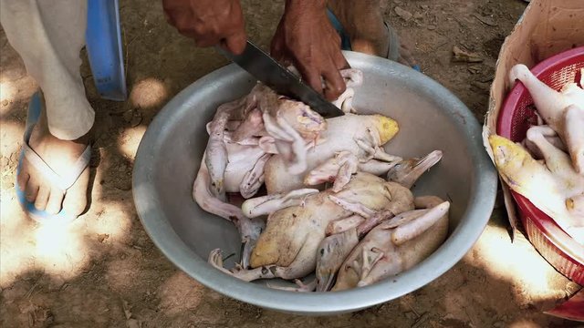 man is cutting dead ducks into two pieces with a meat cleaver for removing intestines and organs ( close up )