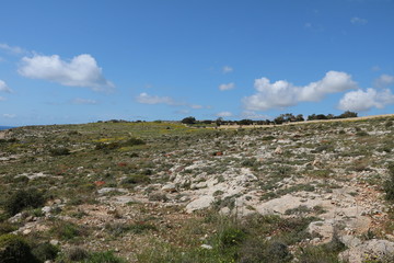 Fototapeta na wymiar Surroundings of Ħaġar Qim Temple and Mnajdra Temple at the Mediterranean Sea in Malta 
