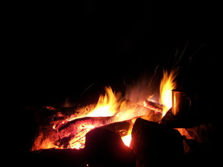 Sparks and flares of a night fire forest