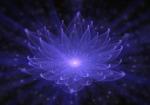 Fototapeta Water Lily, Radiant Blue Lotus with Rays of Light