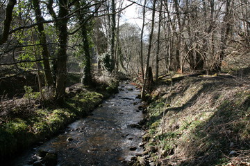 Trail in Fairy Glen, Rosemarkie, Scottish Highlands, Black Isle
