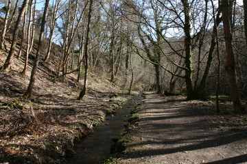 Trail in Fairy Glen, Rosemarkie, Scottish Highlands, Black Isle