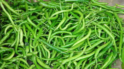 Fresh green pepper pile in harvest season