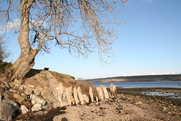 Beach at Foulis on the Cromarty Firth, Black Isle, Scottish Highlands, Scotland