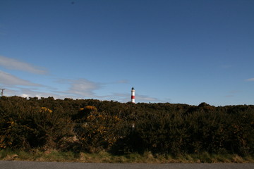 Coastline at Tarbat Ness Lighthouse, Scottish Highlands, Dornach Firth, Scotland