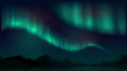 Fotobehang Vector illustration with aurora borealis, northern starry night © lidiia